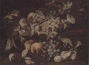 unknow artist Still life of red and white grapes,peaches and plums,on a stone ledge France oil painting artist
